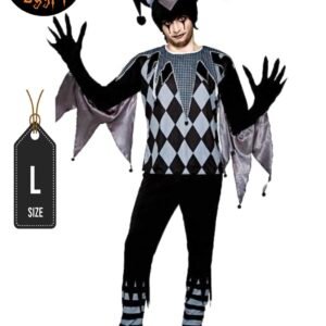 Harlequin Clown Costume