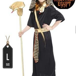 Egyptian Pharaoh Black Robe
