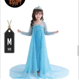 Cinderella Princess Dress