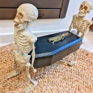 skeletons with coffin